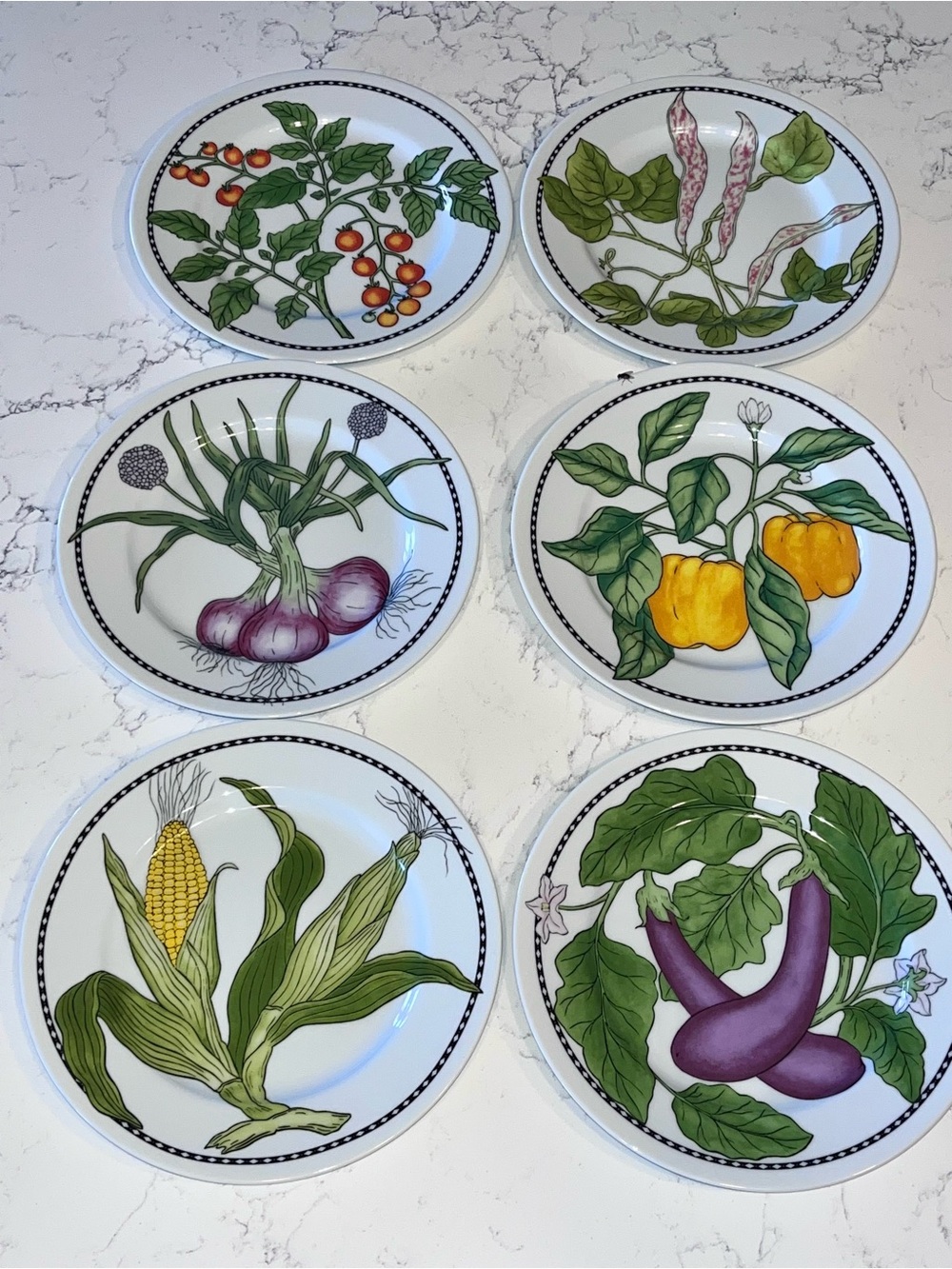 Williams Sonoma Harvest Vegetables salad plates full set 6 #WSO31 7.75”